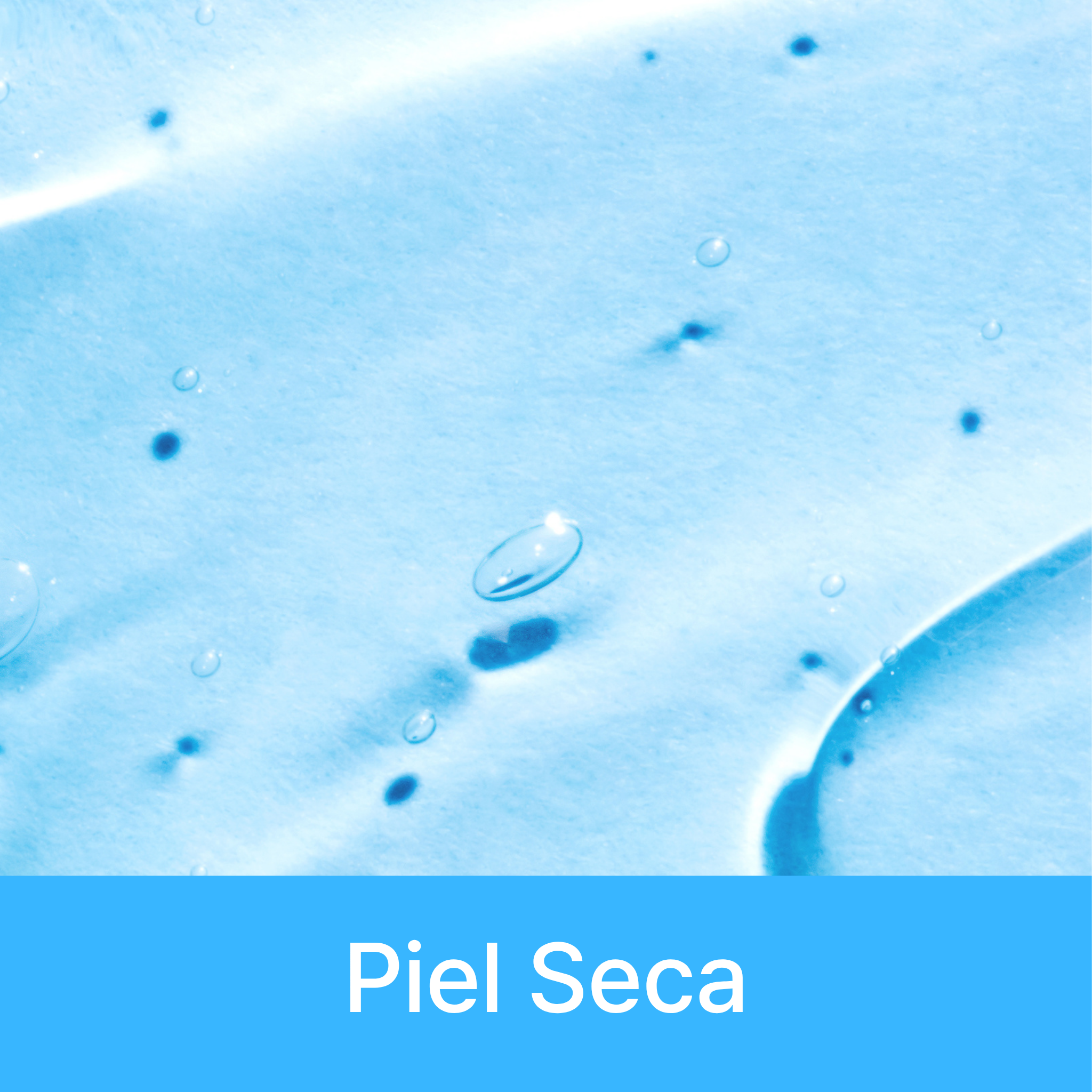 Piel Seca