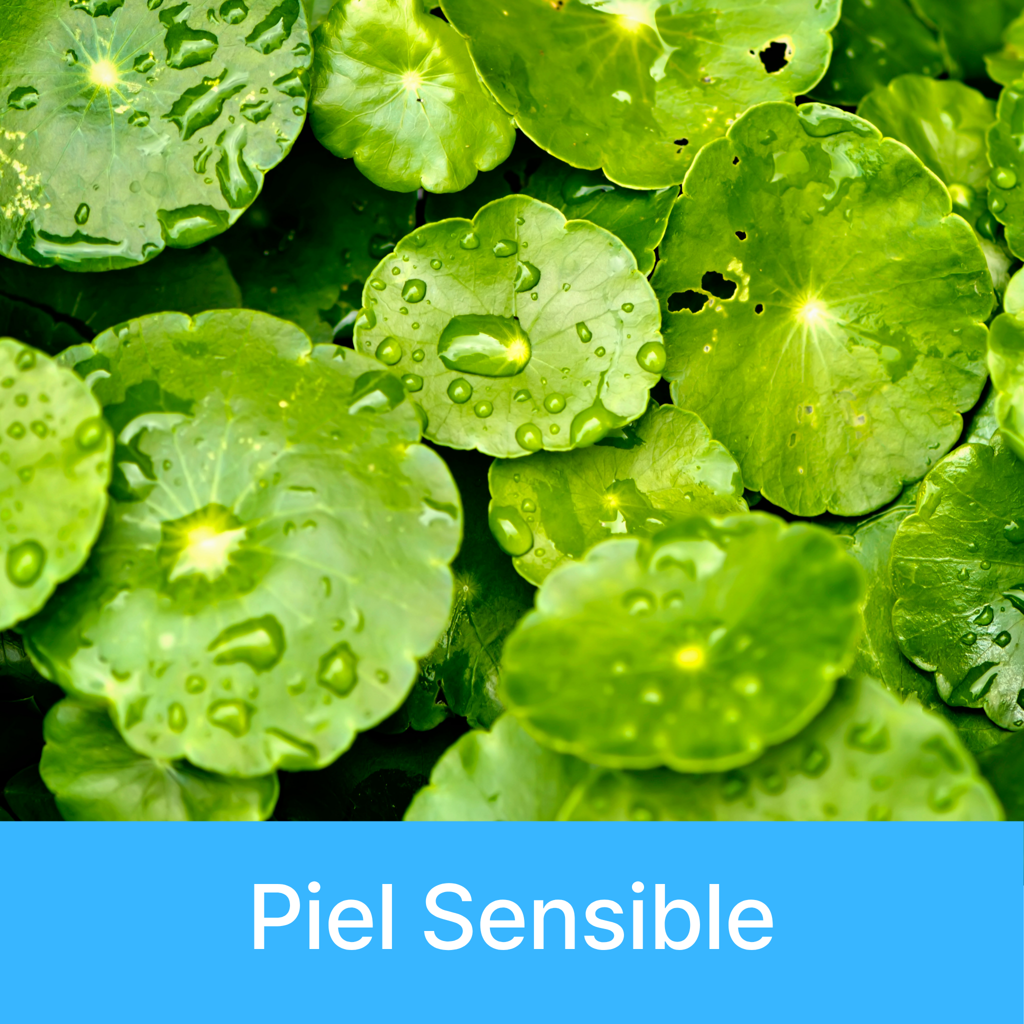 Piel Sensible